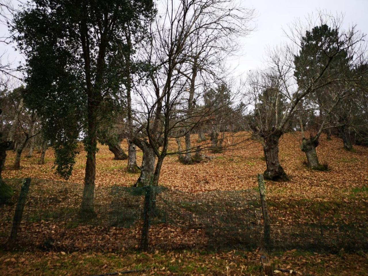 فوينتيئيريدوس Valle Granado المظهر الخارجي الصورة